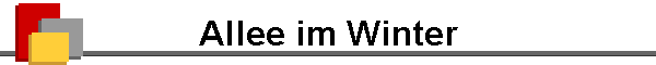 Allee im Winter