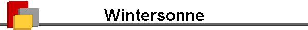 Wintersonne